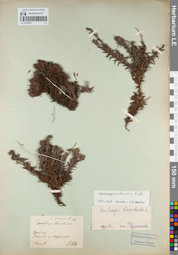 LE 01120742