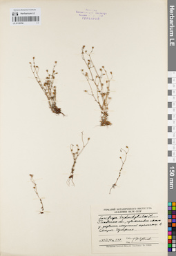 LE 01120796