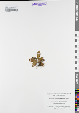 LE 01120803
