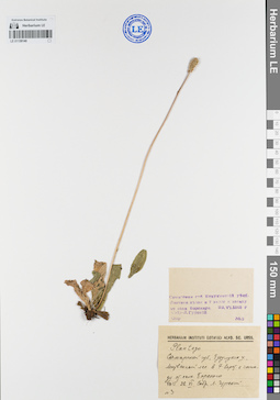 LE 01139140