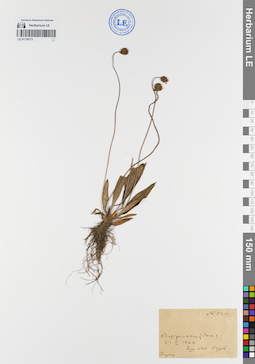 LE 01139173