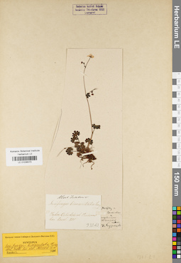 LE 01036070