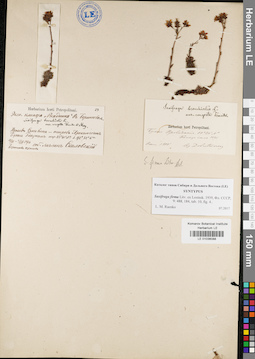 LE 01036088