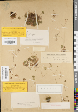 LE 01036102
