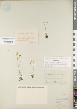 LE 01036106