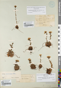 LE 01081969