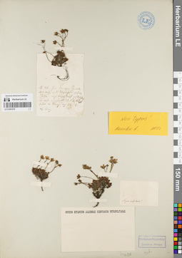 LE 01081976