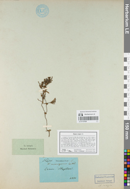 LE 01157026