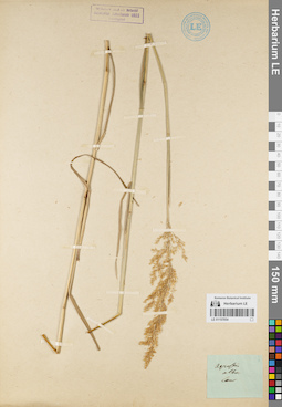 LE 01157054