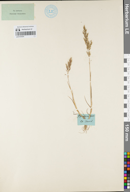 LE 01157074