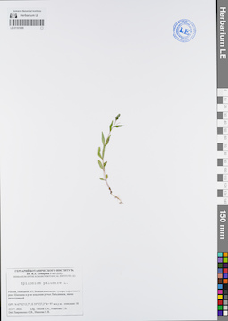 LE 01101899