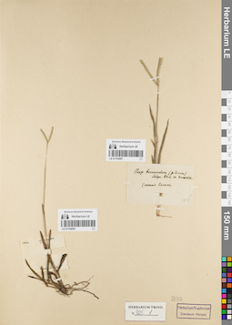 LE 01154067