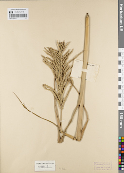 LE 01154111