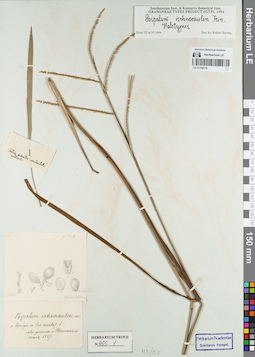 LE 01154176