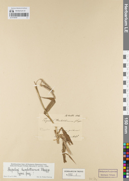 LE 01154187
