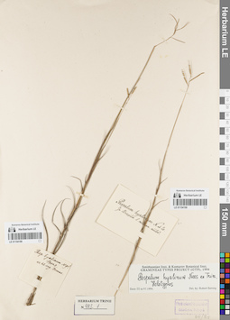 LE 01154190