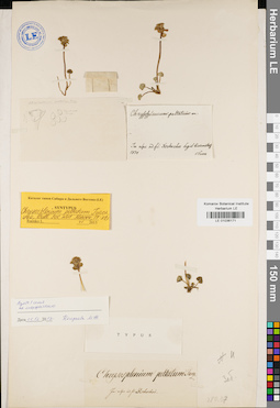 LE 01036171