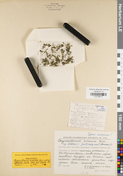 LE 01036177