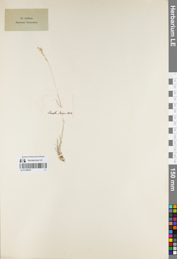 LE 01159479