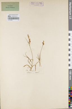 LE 01159614