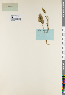 LE 01159690