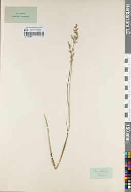 LE 01159693