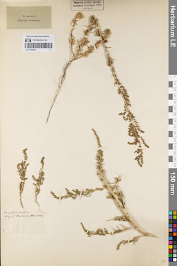 LE 01160372