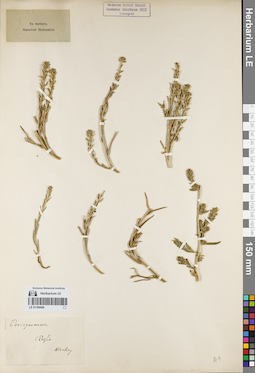 LE 01160469