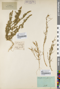 LE 01160542