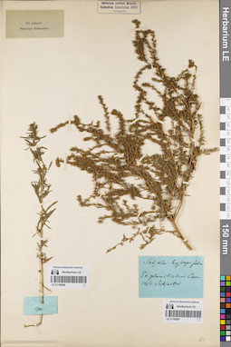 LE 01160581
