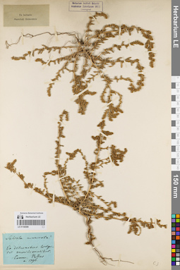 LE 01160589