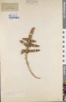 LE 01161172