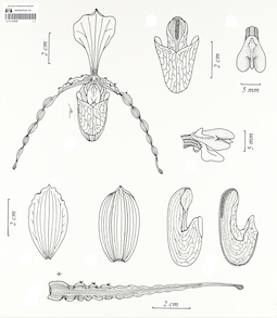 LE 01123026