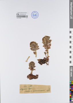 LE 01118759