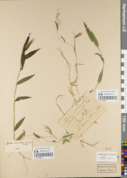 LE 01154509