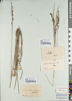 LE 01154619