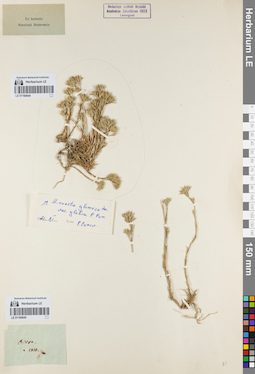 LE 01160645