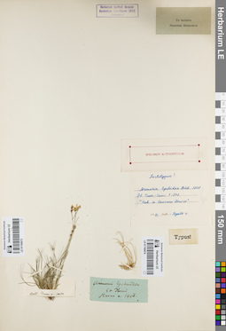 LE 01160673