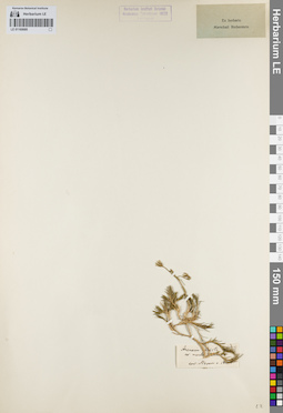 LE 01160680
