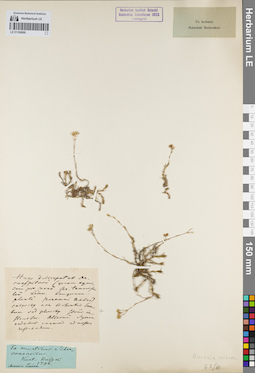 LE 01160686