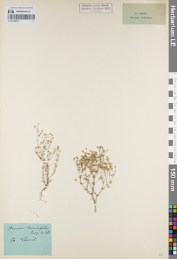 LE 01160701