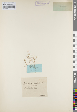 LE 01160702