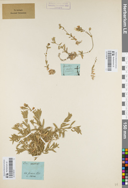 LE 01160727