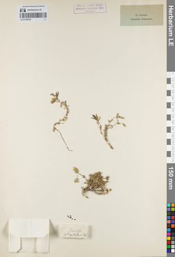 LE 01160729