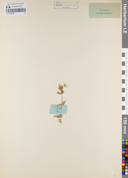 LE 01160739