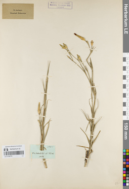 LE 01160779
