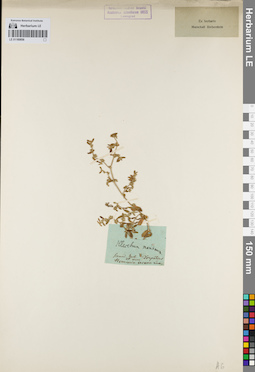 LE 01160856