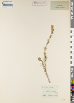 LE 01160918