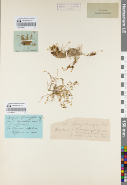 LE 01160921