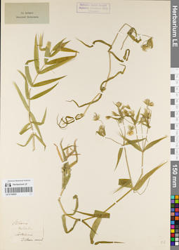 LE 01160925